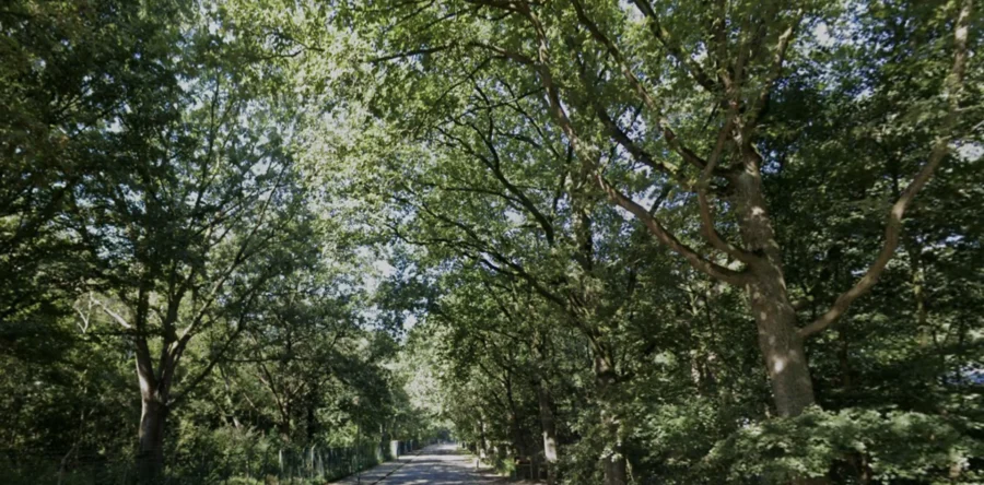 Trimbos in Dongen krijgt flinke opknapbeurt