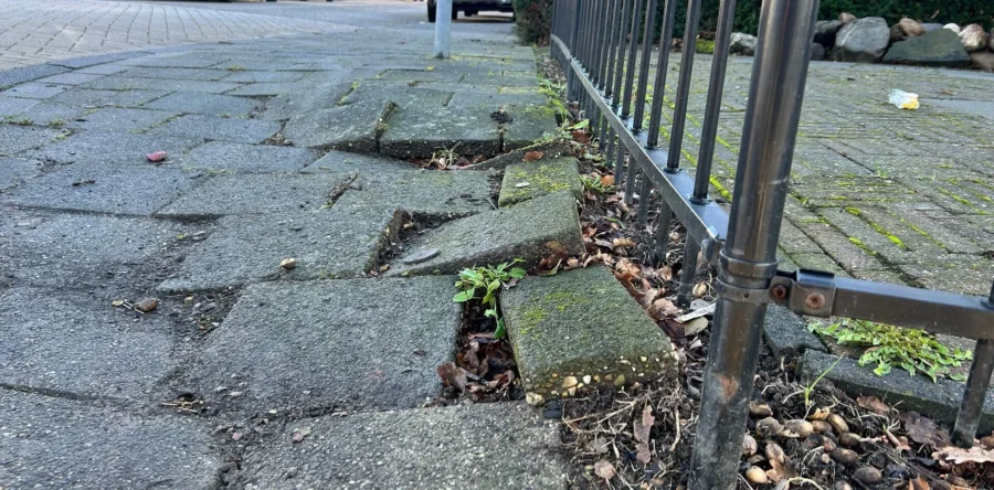 Overlast en verloedering zorgt voor frustratie in Oudheusden