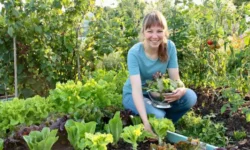 Groei en Bloei presenteert: Lezing Vera Greutink – De Mooie Moestuin