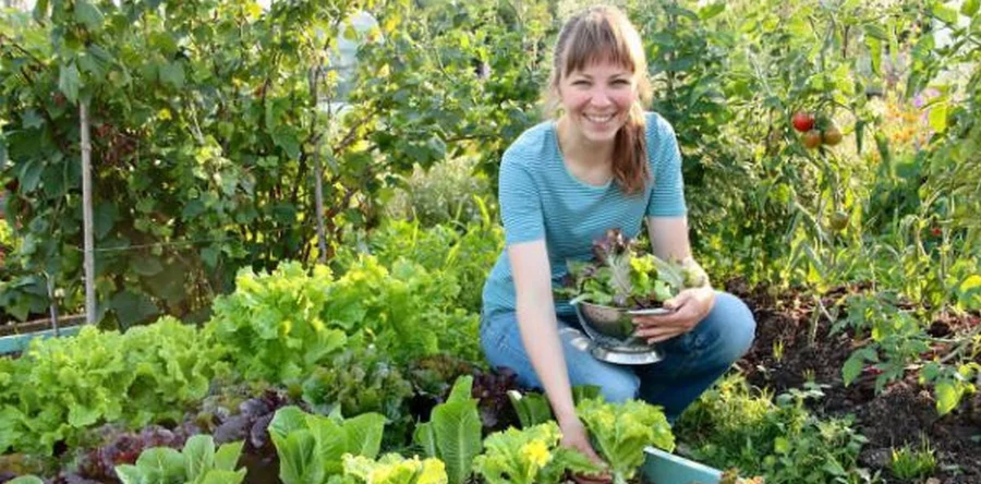 Groei en Bloei presenteert: Lezing Vera Greutink – De Mooie Moestuin