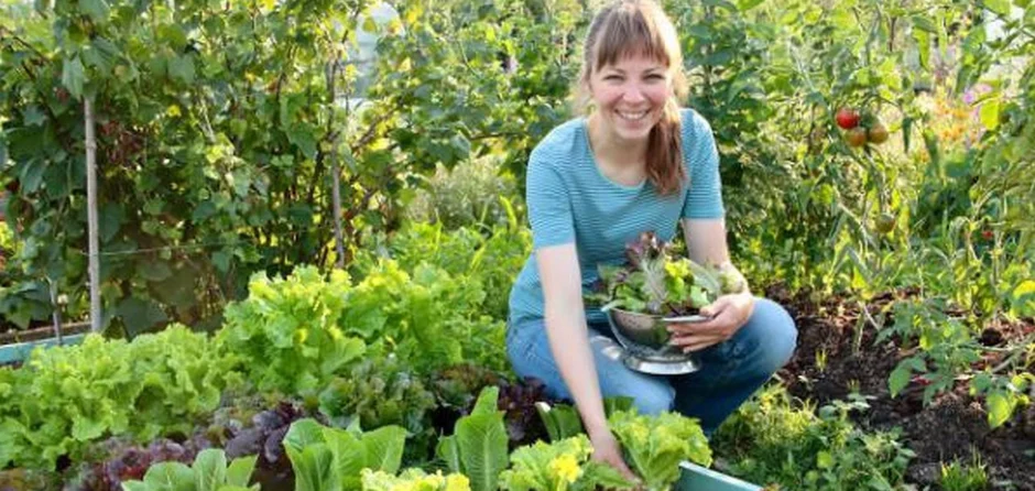 Groei en Bloei presenteert: Lezing Vera Greutink – De Mooie Moestuin