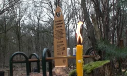 Nieuw coronamonument onthuld in Gedenkbos De Spinder (video)