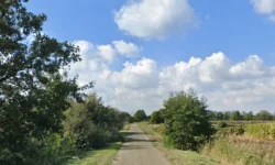 Fatbiker remt op het nippertje voor omgevallen boom in Waalwijk