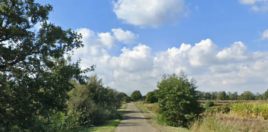 Fatbiker remt op het nippertje voor omgevallen boom in Waalwijk