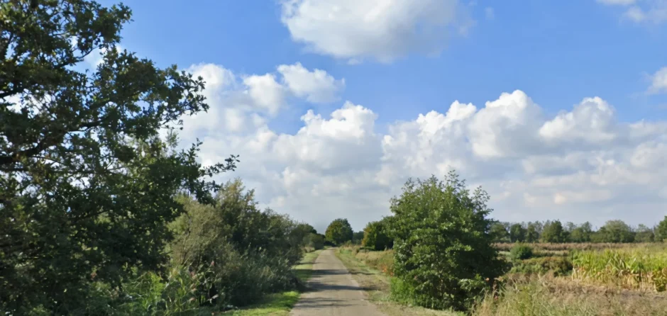 Fatbiker remt op het nippertje voor omgevallen boom in Waalwijk