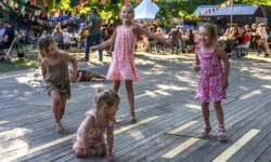 Cultuurfonds investeert volop in cultuur, ook in De Langstraat