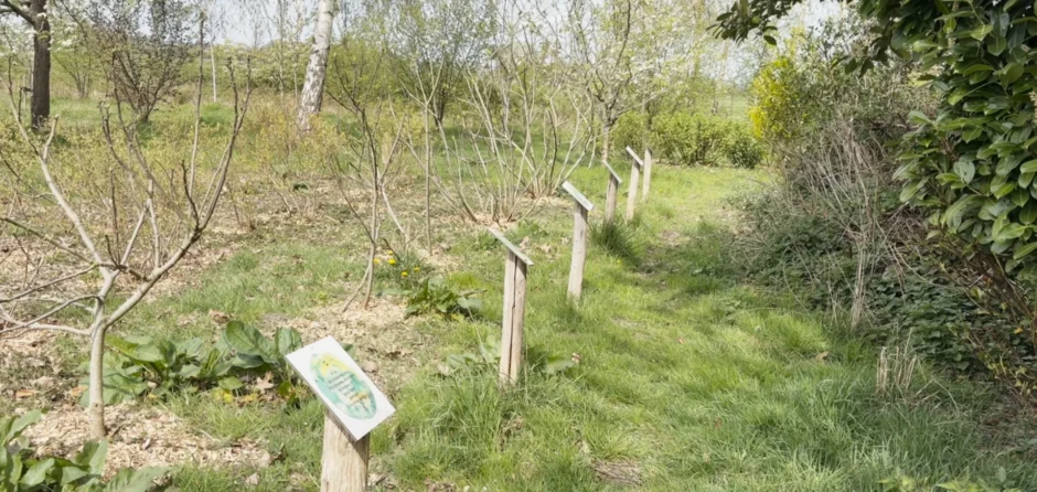 Hoe ziet de toekomst van het Voedselbos in Waspik eruit? (Video)