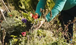 Met een feestelijke Open Dag viert AVVV Vlijmen haar 50-jarig bestaan