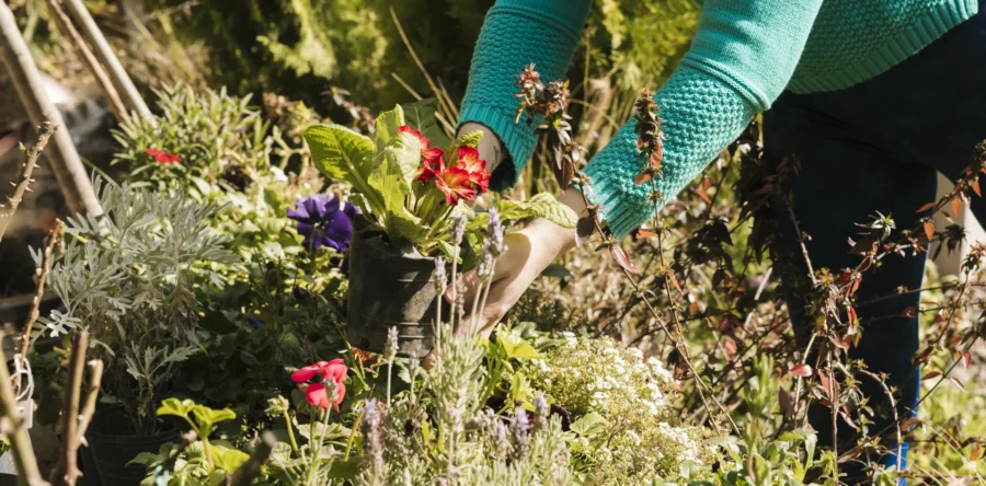 Met een feestelijke Open Dag viert AVVV Vlijmen haar 50-jarig bestaan