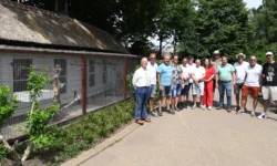 Opknapbeurt voor volière in Park Vredeoord Dongen
