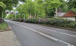 Zieke rododendrons zorgen voor een week lang snoeiwerkzaamheden