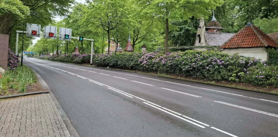 Zieke rododendrons zorgen voor een week lang snoeiwerkzaamheden