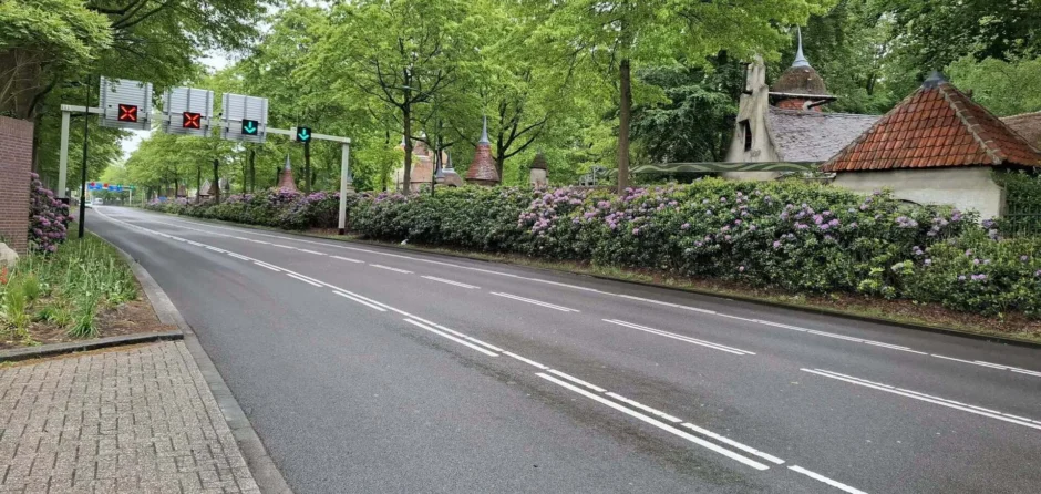 Zieke rododendrons zorgen voor een week lang snoeiwerkzaamheden