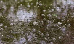 Waterberging gepland in Elshout om wateroverlast tegen te gaan