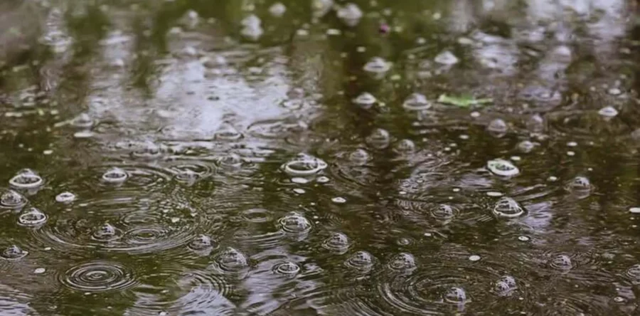 Waterberging gepland in Elshout om wateroverlast tegen te gaan