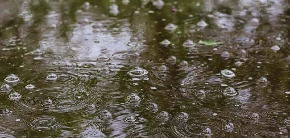 Waterberging gepland in Elshout om wateroverlast tegen te gaan