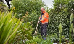 Gemeente deelt plan voor groenonderhoud derde kwartaal 2026