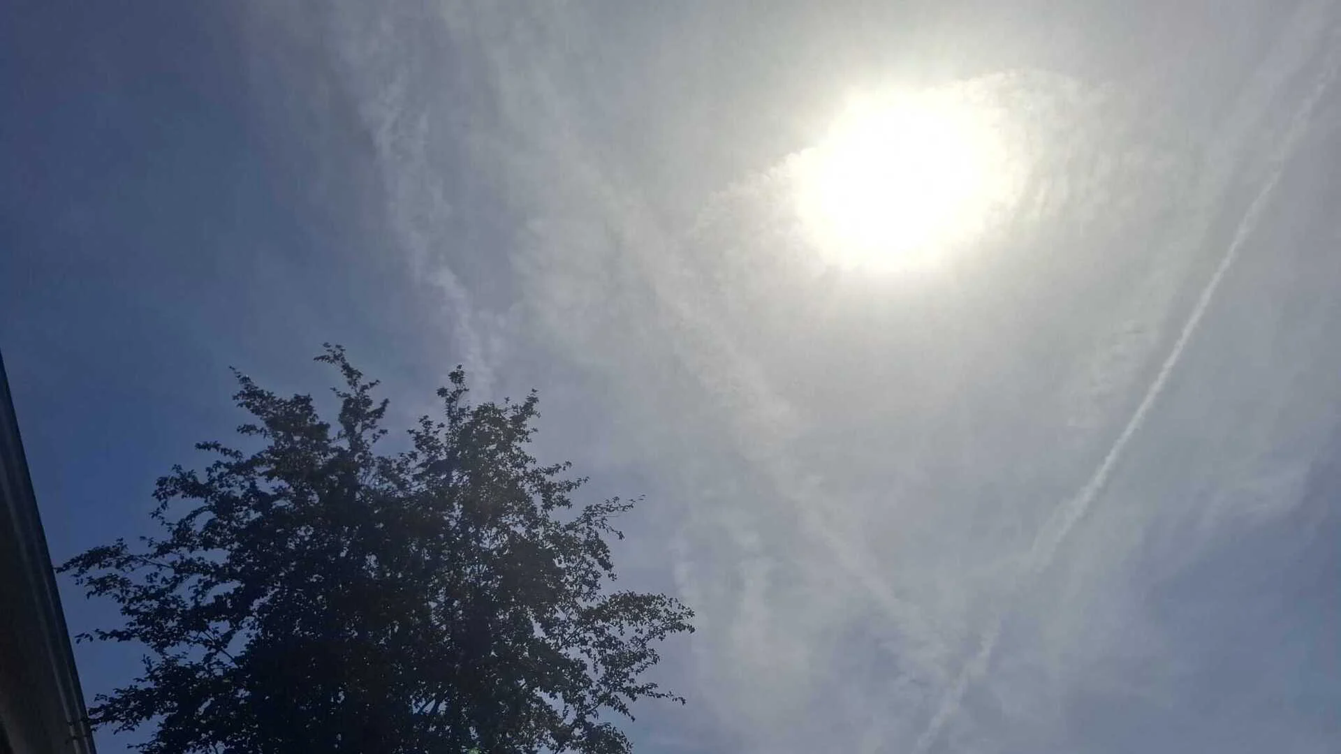 Code rood: dit is er allemaal dicht of afgelast in De Langstraat