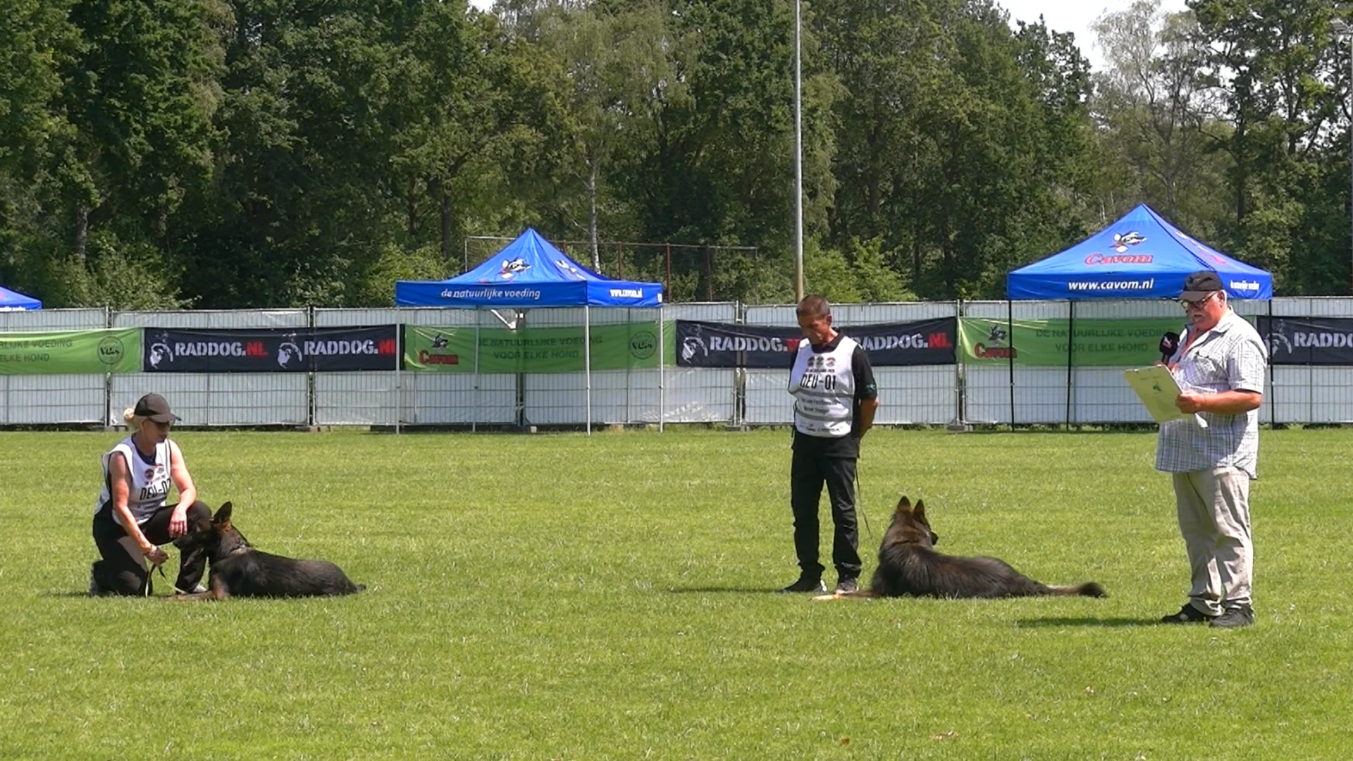WK herdershonden neemt de voetbalvelden over bij VV Desk (Video)