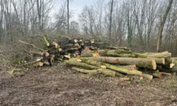 Discussie over groencompensatie bij GOL-project houdt aan