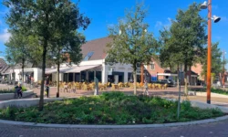 Feestelijke opening van groen centrum tijdens Drunen Bloeit Op