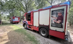 Bosbrand ontstaan in Loonse en Drunense Duinen
