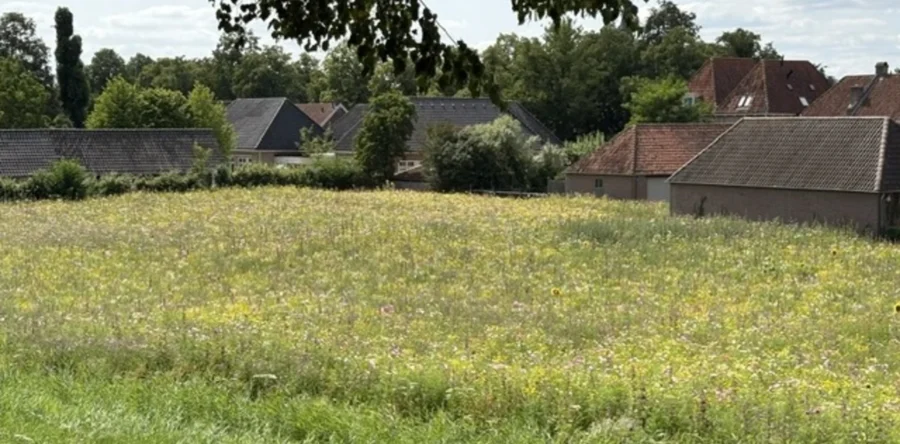 Heusden heeft vanaf nu een enorme bloementuin: 5000m2 groot (Video)
