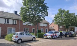 Politie vindt hennepkwekerij in Kaatsheuvel, illegaal stroom afgetapt